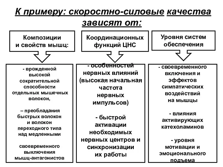 К примеру: скоростно-силовые качества зависят от: Композиции и свойств мышц: Координационных