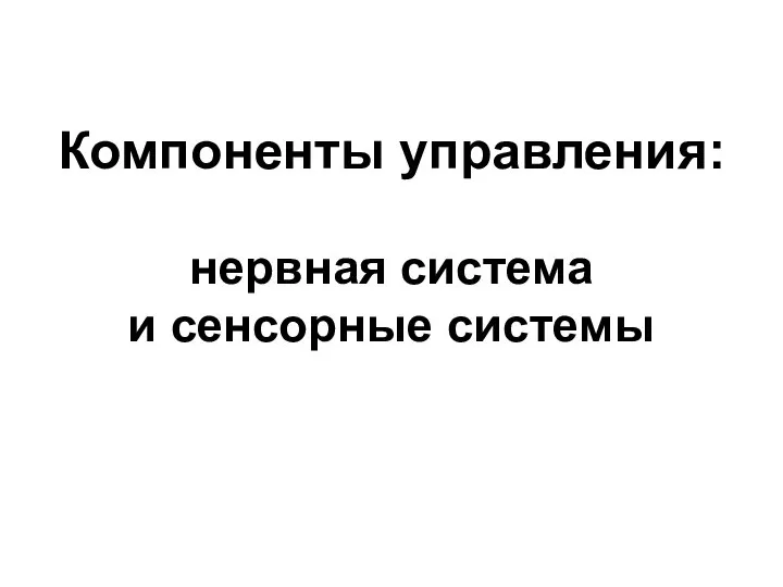 Компоненты управления: нервная система и сенсорные системы