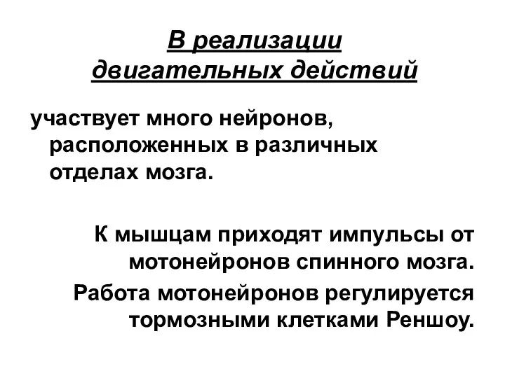 В реализации двигательных действий участвует много нейронов, расположенных в различных отделах