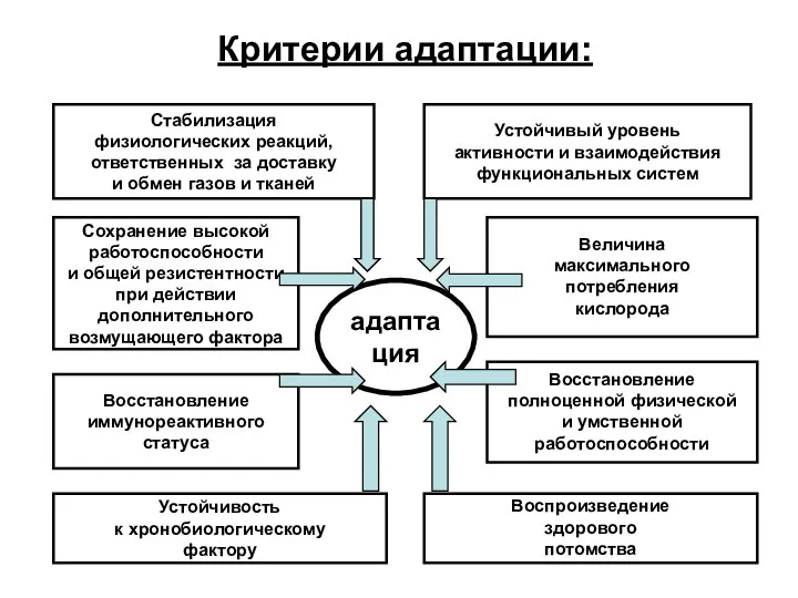 Критерии адаптации: Стабилизация физиологических реакций, ответственных за доставку и обмен газов