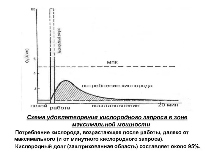 Схема удовлетворения кислородного запроса в зоне максимальной мощности Потребление кислорода, возрастающее