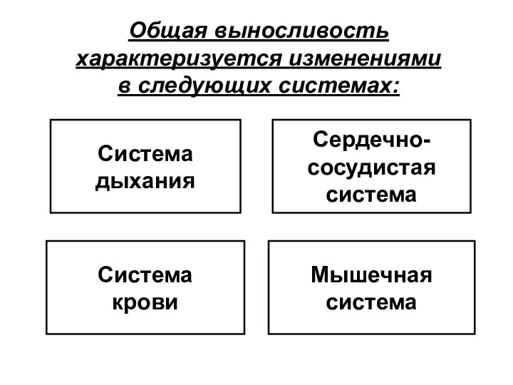 Общая выносливость характеризуется изменениями в следующих системах: Система дыхания Сердечно- сосудистая система Мышечная система Система крови