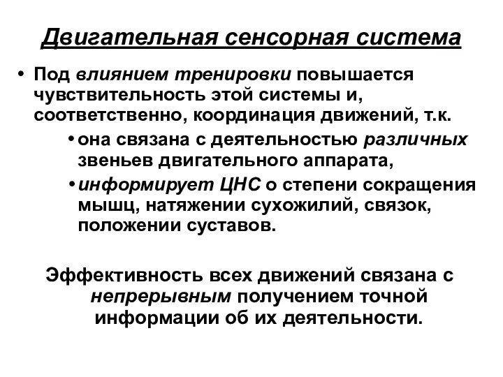 Двигательная сенсорная система Под влиянием тренировки повышается чувствительность этой системы и,