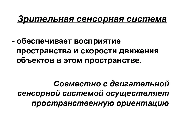 Зрительная сенсорная система - обеспечивает восприятие пространства и скорости движения объектов