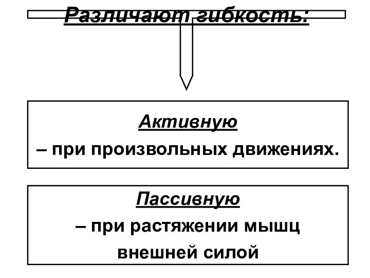 Активную – при произвольных движениях. Пассивную – при растяжении мышц внешней силой Различают гибкость: