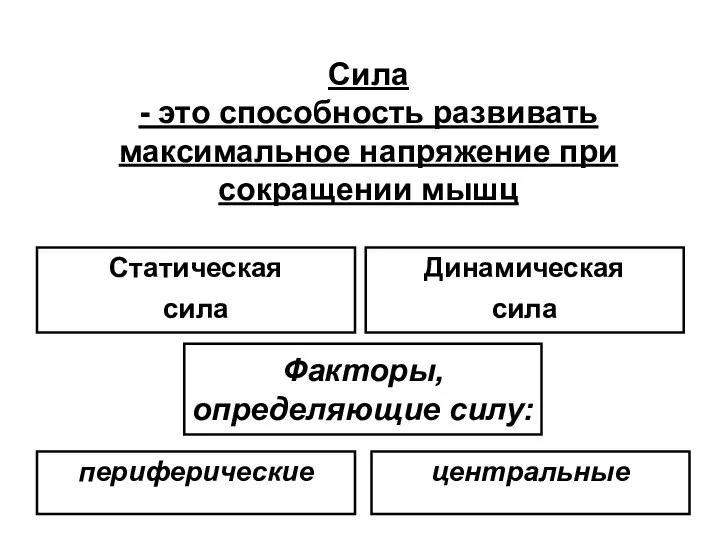 Сила - это способность развивать максимальное напряжение при сокращении мышц Статическая