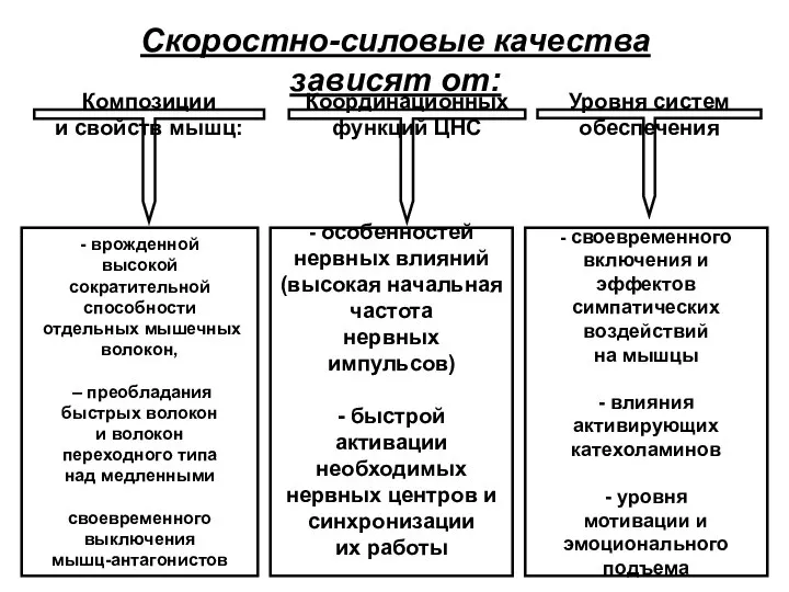 Скоростно-силовые качества зависят от: Композиции и свойств мышц: Координационных функций ЦНС