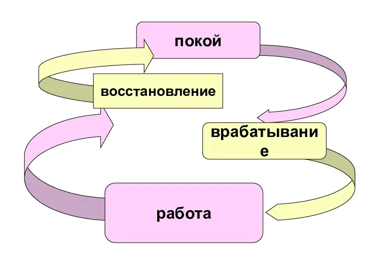 покой врабатывание работа восстановление