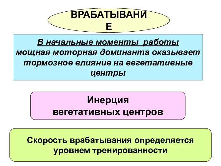 В начальные моменты работы мощная моторная доминанта оказывает тормозное влияние на