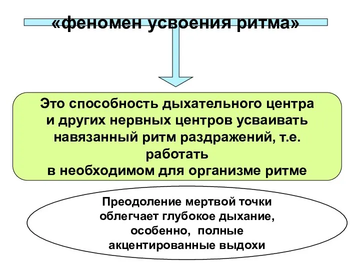 Это способность дыхательного центра и других нервных центров усваивать навязанный ритм