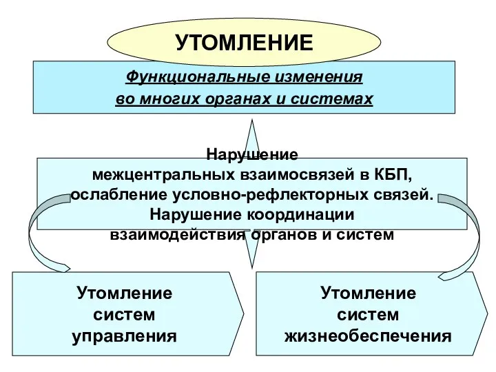 Функциональные изменения во многих органах и системах Утомление систем управления Нарушение