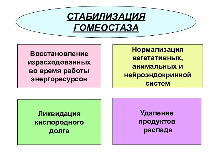 СТАБИЛИЗАЦИЯ ГОМЕОСТАЗА Ликвидация кислородного долга Удаление продуктов распада Нормализация вегетативных, анимальных