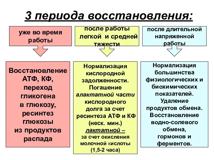 3 периода восстановления: уже во время работы после работы легкой и