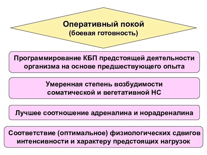 Оперативный покой (боевая готовность) Программирование КБП предстоящей деятельности организма на основе