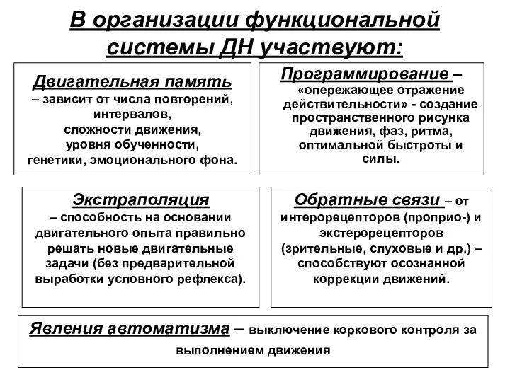 В организации функциональной системы ДН участвуют: Двигательная память – зависит от