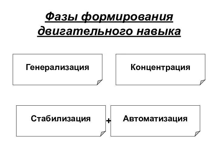 Фазы формирования двигательного навыка Генерализация Стабилизация Концентрация Автоматизация +