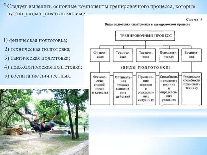 Следует выделить основные компоненты тренировочного процесса, которые нужно рассматривать комплексно: 1)