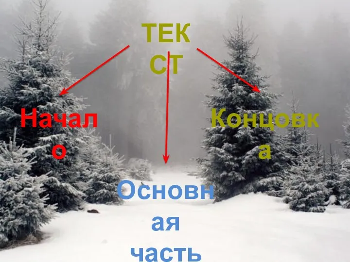 ТЕКСТ Начало Основная часть Концовка