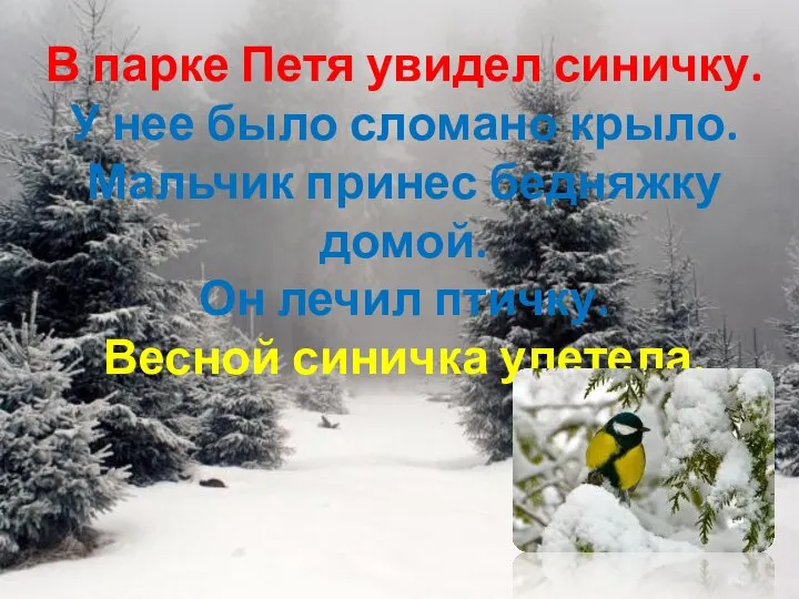 В парке Петя увидел синичку. У нее было сломано крыло. Мальчик