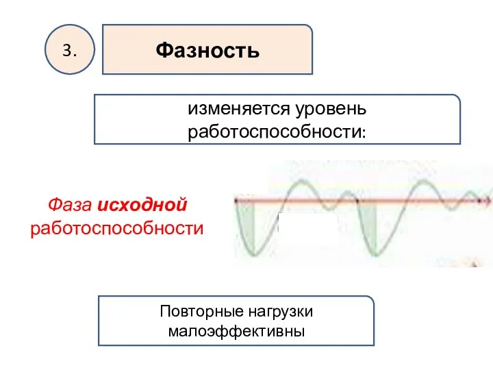 3. Фазность изменяется уровень работоспособности: Фаза исходной работоспособности Повторные нагрузки малоэффективны