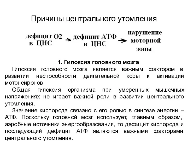 Причины центрального утомления 1. Гипоксия головного мозга Гипоксия головного мозга является