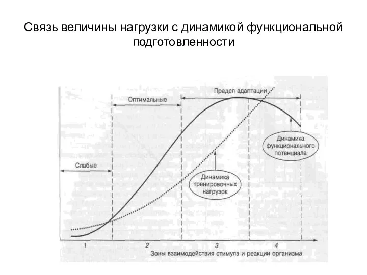 Связь величины нагрузки с динамикой функциональной подготовленности