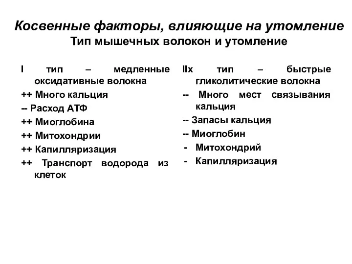 Косвенные факторы, влияющие на утомление Тип мышечных волокон и утомление I