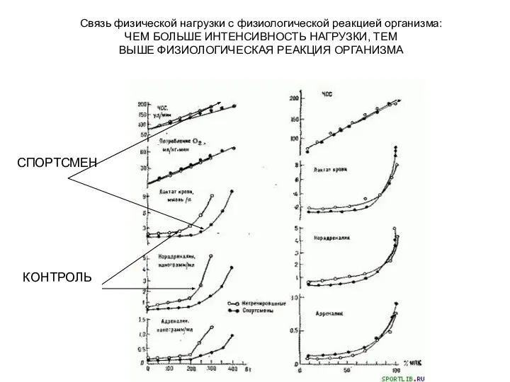 Связь физической нагрузки с физиологической реакцией организма: ЧЕМ БОЛЬШЕ ИНТЕНСИВНОСТЬ НАГРУЗКИ,