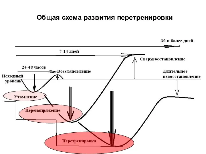 Общая схема развития перетренировки