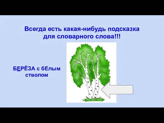 Всегда есть какая-нибудь подсказка для словарного слова!!! БЕРЁЗА с бЕлым стволом