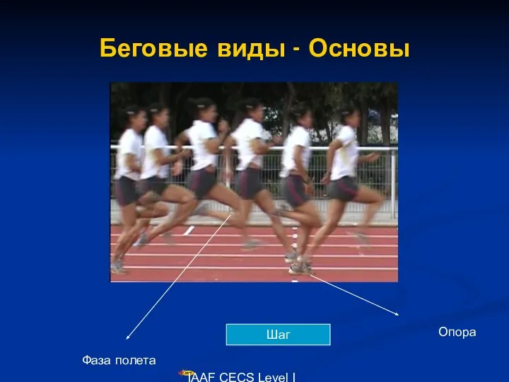 IAAF CECS Level I Lecturers Course Беговые виды - Основы Опора Фаза полета Шаг