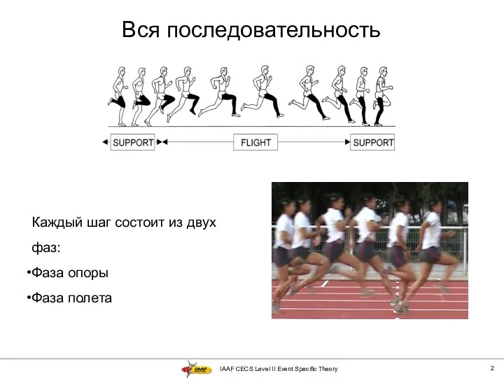 IAAF CECS Level II Event Specific Theory Вся последовательность Каждый шаг