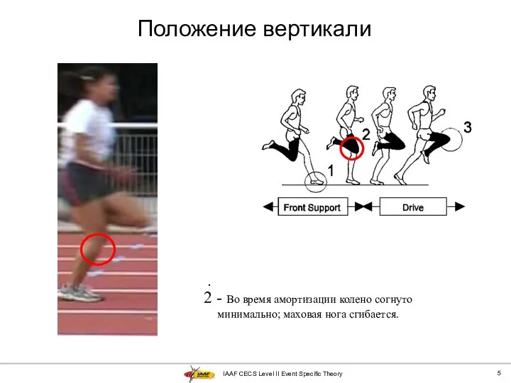 IAAF CECS Level II Event Specific Theory Положение вертикали . 2