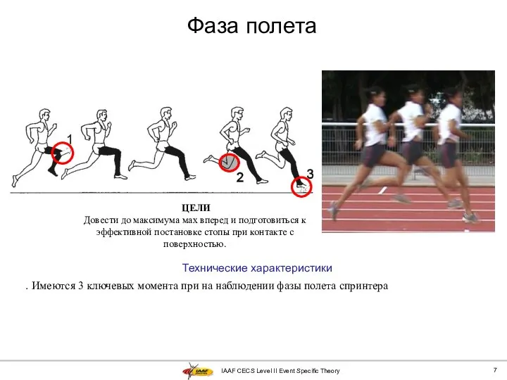 IAAF CECS Level II Event Specific Theory Фаза полета Технические характеристики