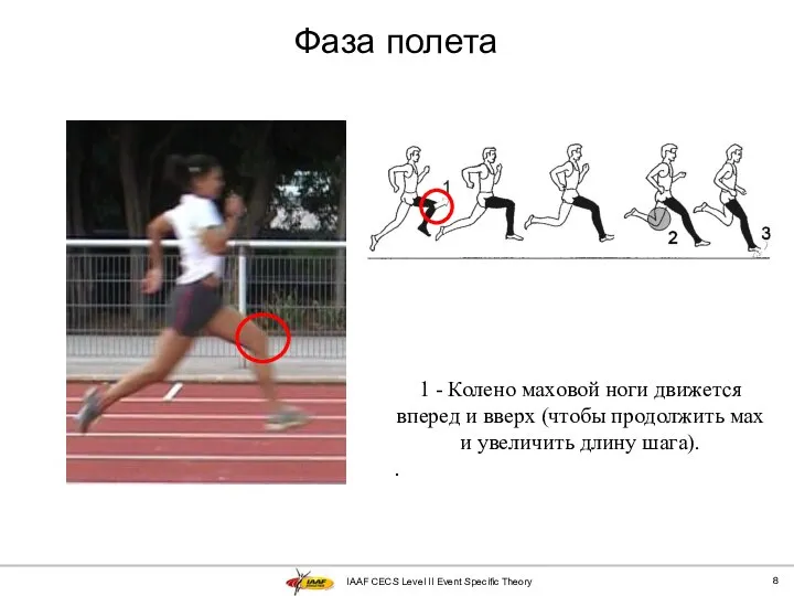 IAAF CECS Level II Event Specific Theory Фаза полета 1 -