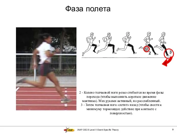 IAAF CECS Level II Event Specific Theory Фаза полета 2 -
