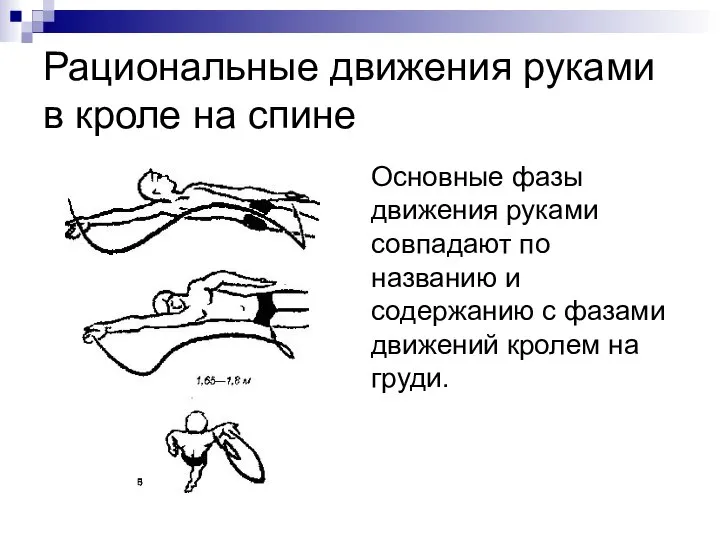 Рациональные движения руками в кроле на спине Основные фазы движения руками