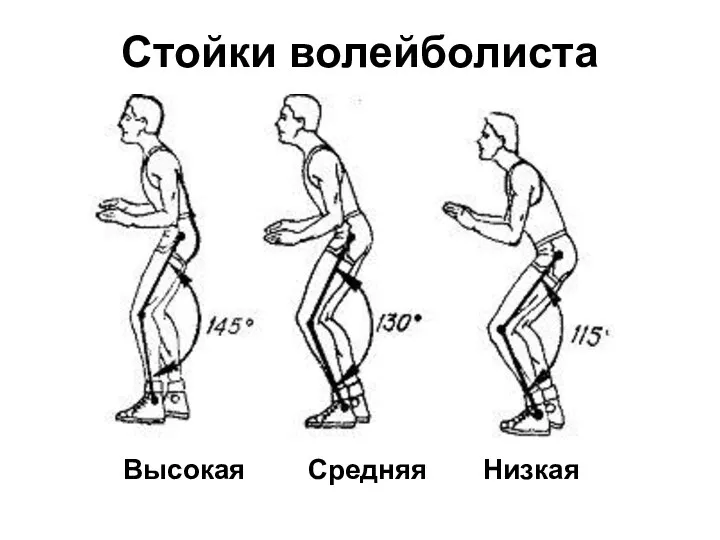 Стойки волейболиста Высокая Средняя Низкая