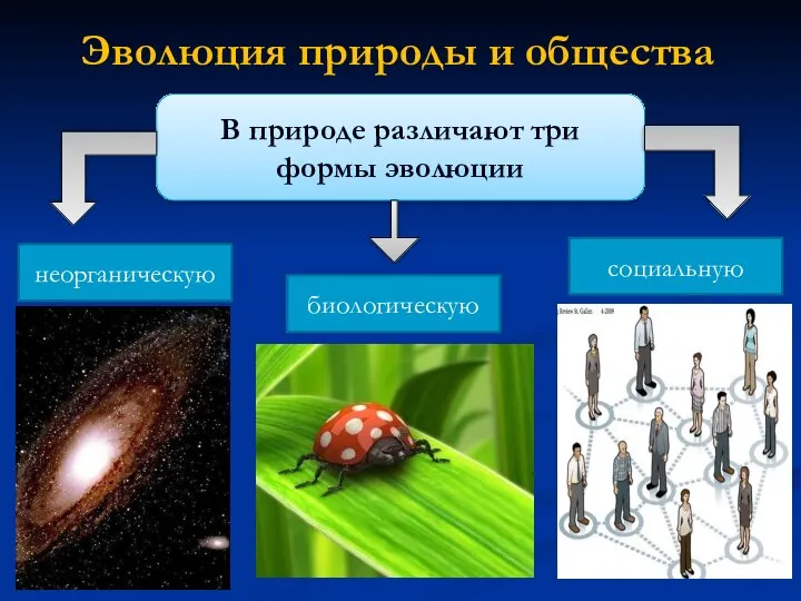 В природе различают три формы эволюции Эволюция природы и общества неорганическую биологическую социальную