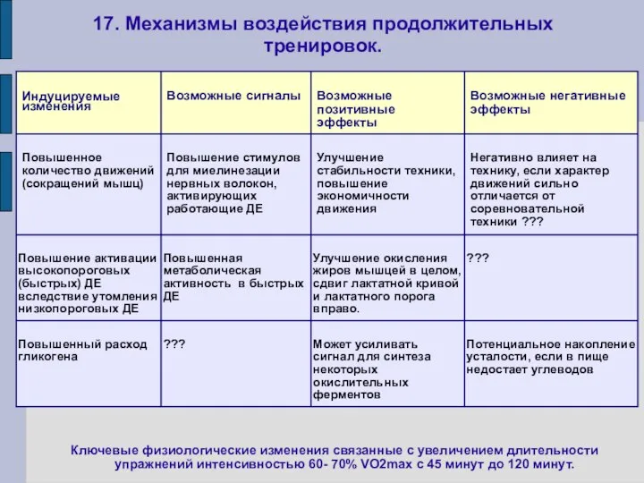 17. Механизмы воздействия продолжительных тренировок. Ключевые физиологические изменения связанные с увеличением