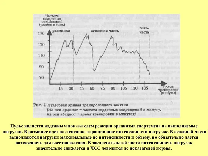 Пульс является надежным показателем реакции организма спортсмена на выполняемые нагрузки. В