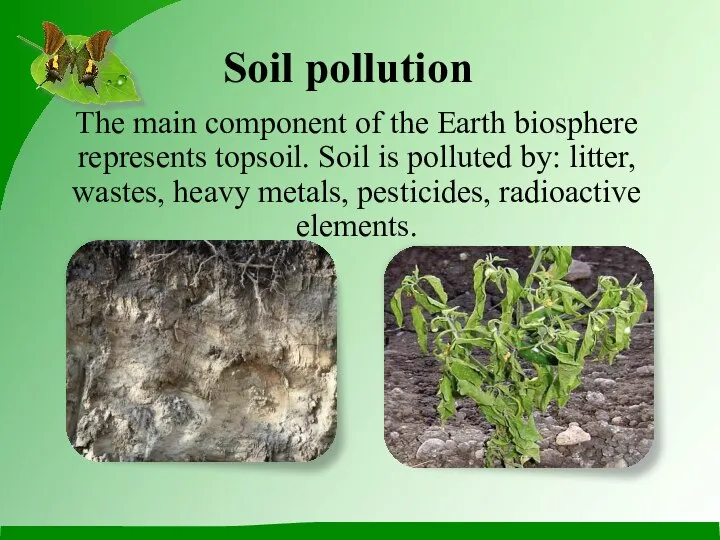 Soil pollution The main component of the Earth biosphere represents topsoil.