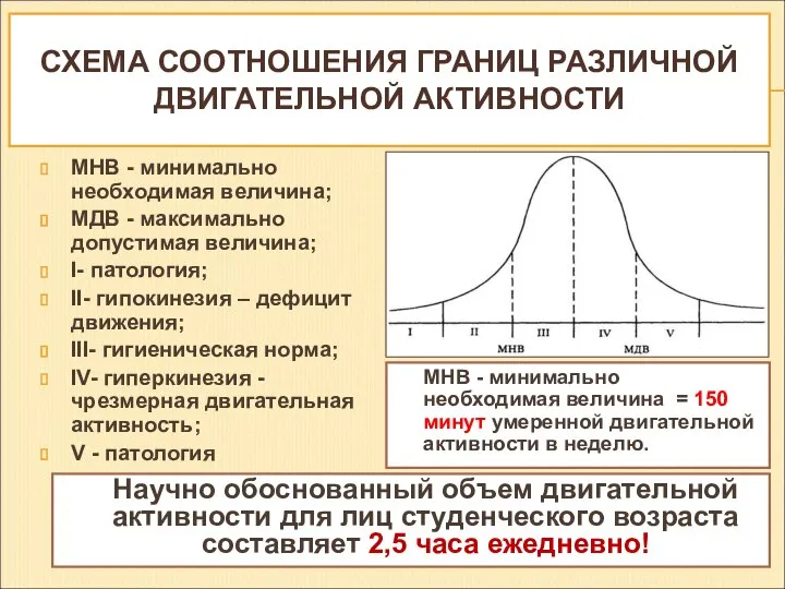 СХЕМА СООТНОШЕНИЯ ГРАНИЦ РАЗЛИЧНОЙ ДВИГАТЕЛЬНОЙ АКТИВНОСТИ МНB - минимально необходимая величина;