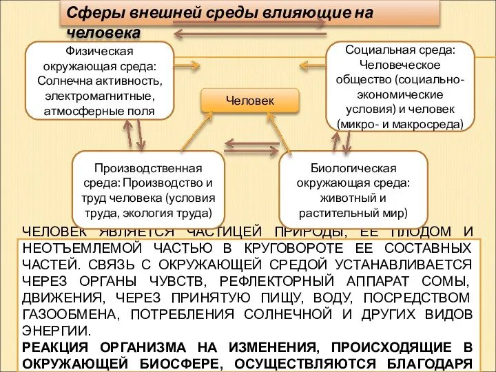 ЧЕЛОВЕК ЯВЛЯЕТСЯ ЧАСТИЦЕЙ ПРИРОДЫ, ЕЕ ПЛОДОМ И НЕОТЪЕМЛЕМОЙ ЧАСТЬЮ В КРУГОВОРОТЕ