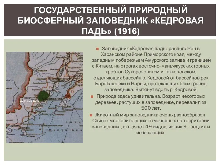 Заповедник «Кедровая падь» расположен в Хасанском районе Приморского края, между западным