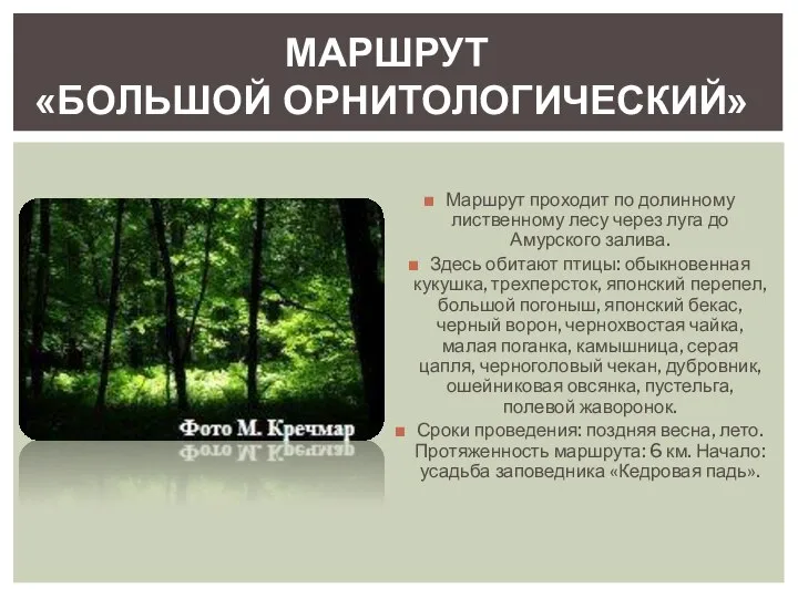 Маршрут проходит по долинному лиственному лесу через луга до Амурского залива.