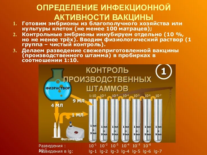 Разведения : 10-1 10-2 10-3 10-4 10-5 10-6 10-7 ОПРЕДЕЛЕНИЕ ИНФЕКЦИОННОЙ