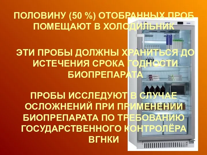 ПОЛОВИНУ (50 %) ОТОБРАННЫХ ПРОБ ПОМЕЩАЮТ В ХОЛОДИЛЬНИК ЭТИ ПРОБЫ ДОЛЖНЫ