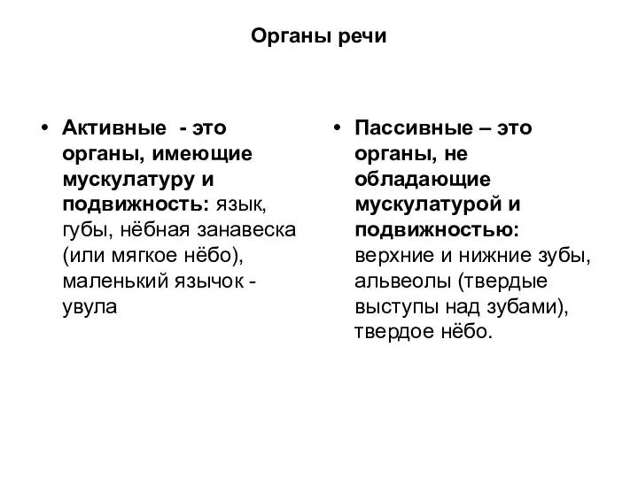 Органы речи Активные - это органы, имеющие мускулатуру и подвижность: язык,