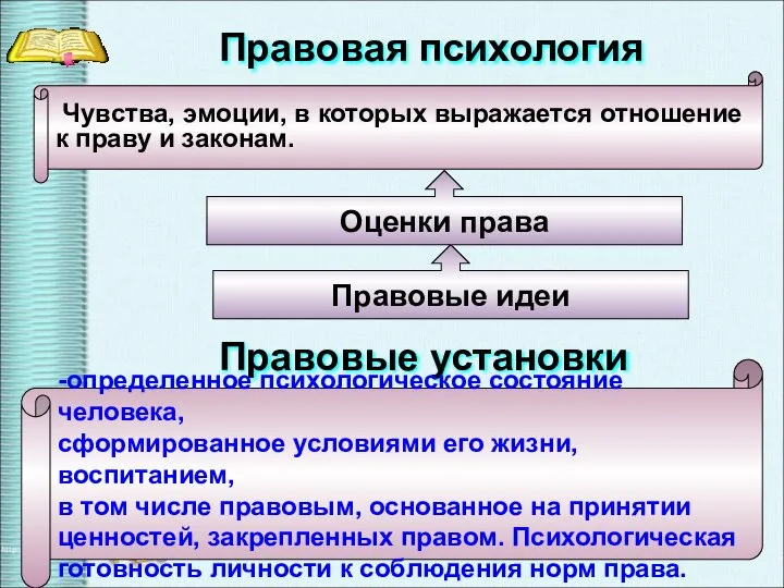 Чувства, эмоции, в которых выражается отношение к праву и законам. Правовая